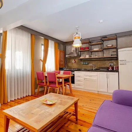 Cosy With Lofty Ceilings 이스탄불
