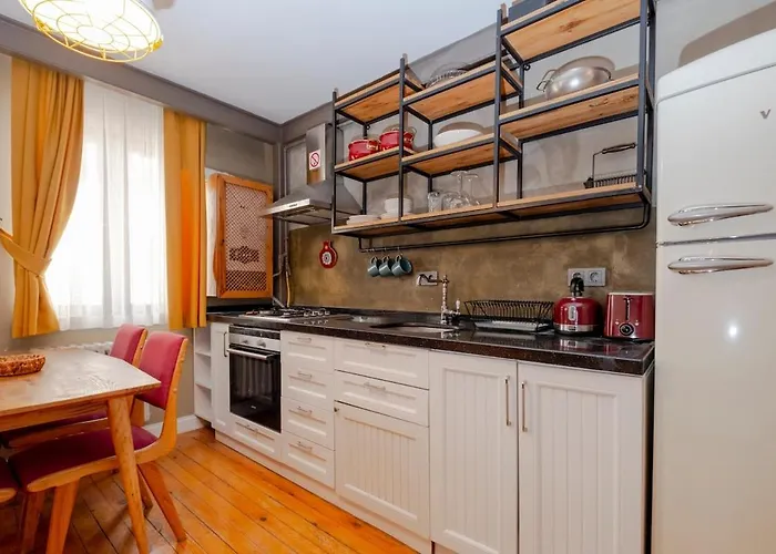 Cosy With Lofty Ceilings Apartment Istanbul