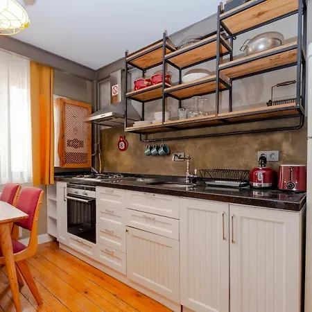 Cosy With Lofty Ceilings Apartmán Istanbulská provincie